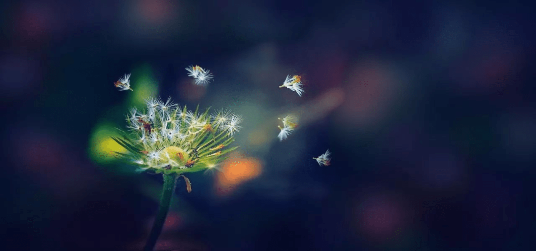 一起干坏事，最终就像糠秕聚集，被风吹散